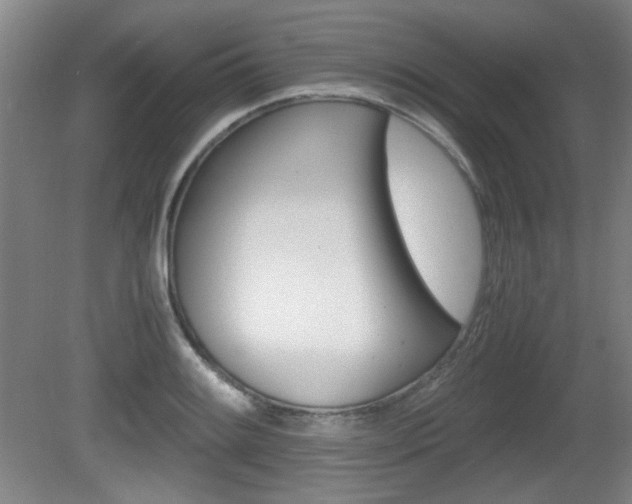 X0000080701084200612150830