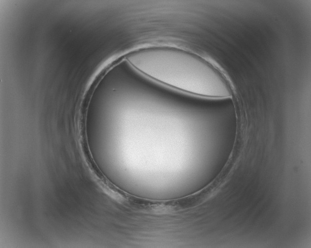 X0000080701085200612150830
