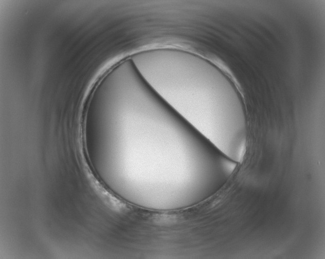 X0000080701088200612150830