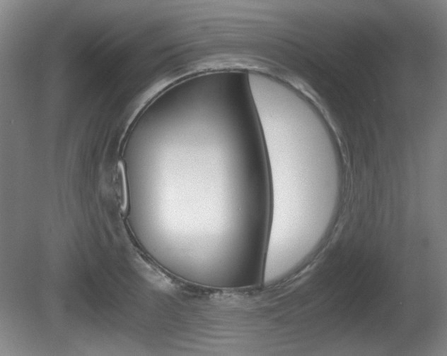 X0000080701089200612150830