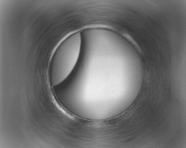 X0000080701092200612150830