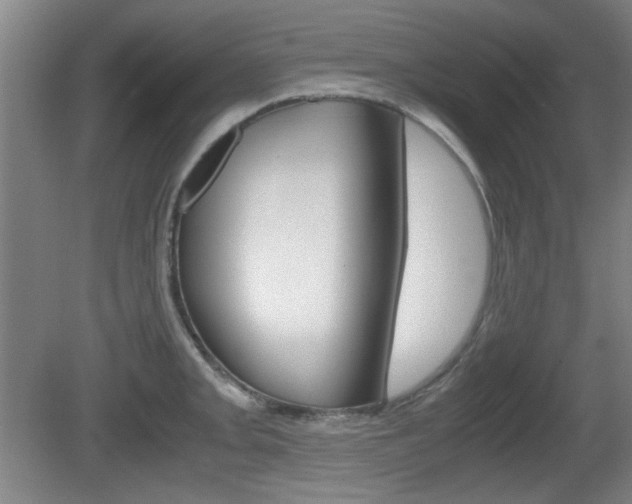 X0000080701093200612150830