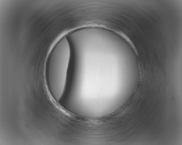 X0000080701096200612150830