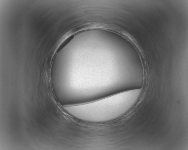 X0000080701097200612150830