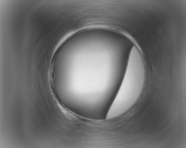 X0000080701101200612150830
