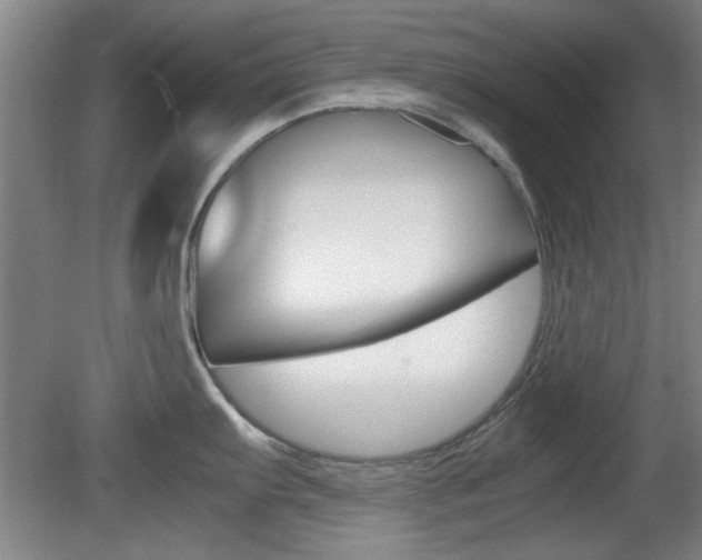 X0000080701103200612150830