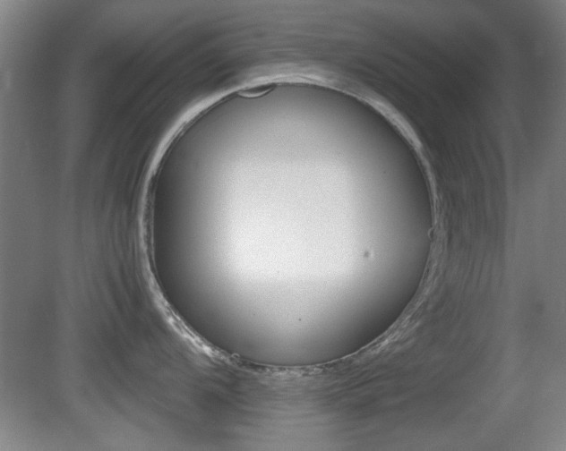 X0000080701104200612150830