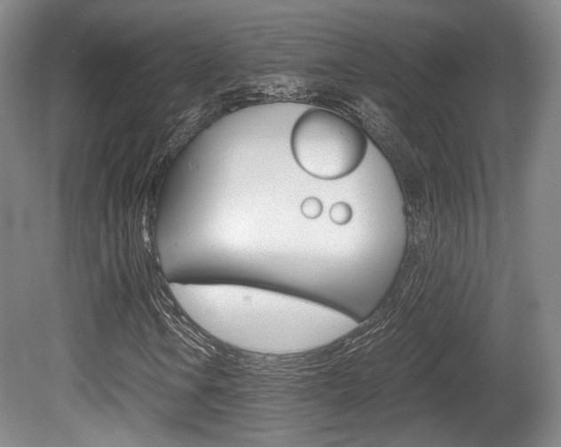 X0000080701106200612150829