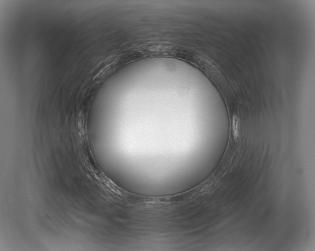 X0000080701107200612150829