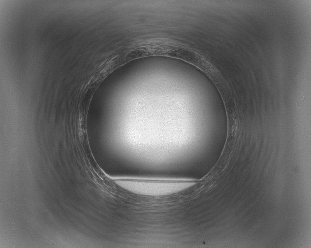 X0000080701108200612150829