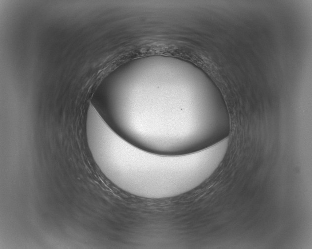 X0000080701109200612150829
