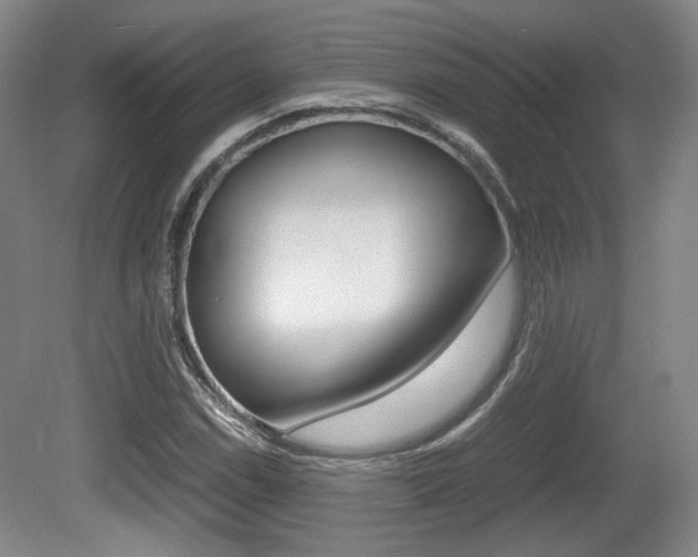 X0000080701114200612150829