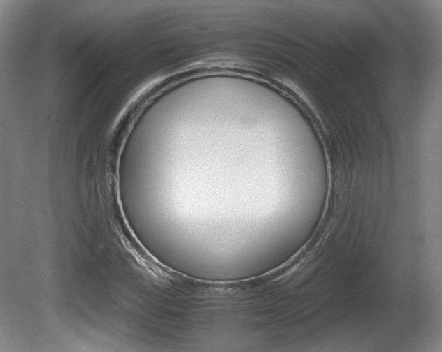 X0000080701115200612150829