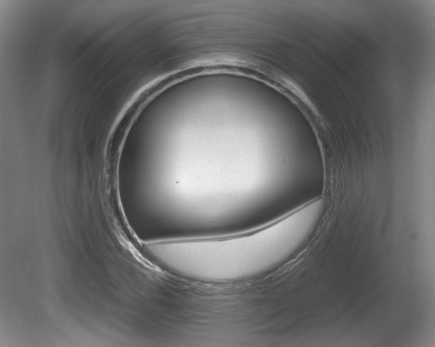 X0000080701116200612150829