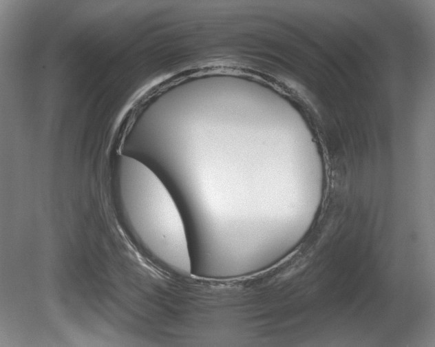 X0000080701117200612150829