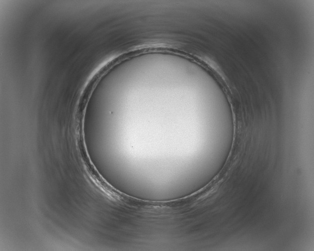X0000080701119200612150829