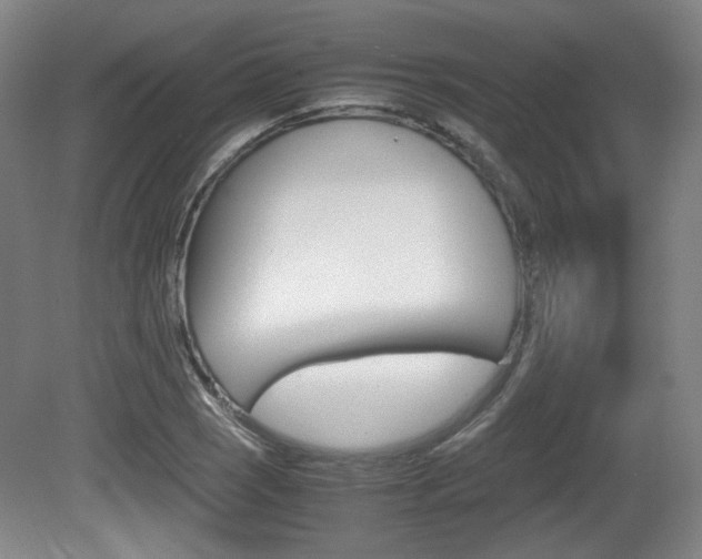 X0000080701121200612150829