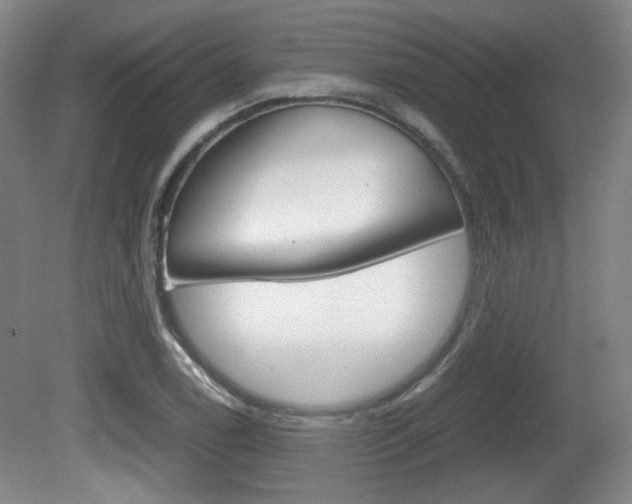 X0000080701122200612150829