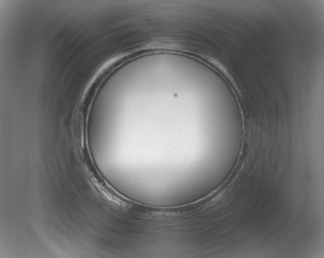 X0000080701123200612150829