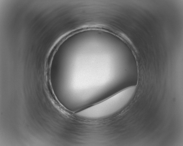 X0000080701124200612150829