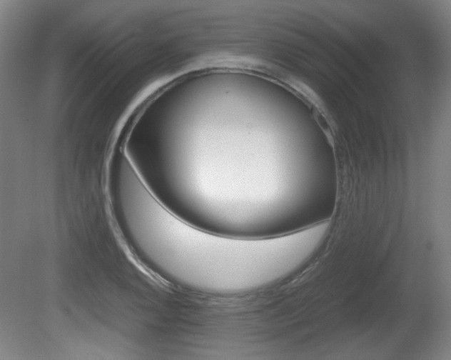 X0000080701128200612150829