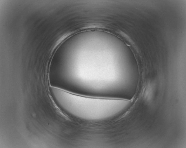 X0000080701129200612150829
