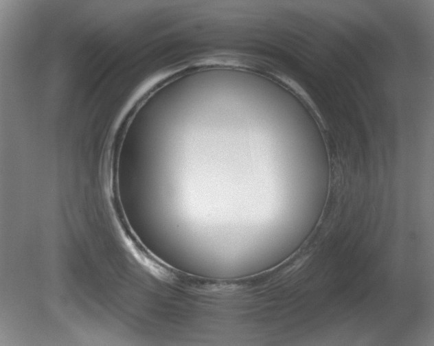 X0000080701131200612150829