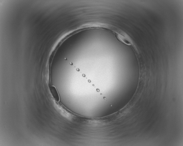 X0000080701132200612150829