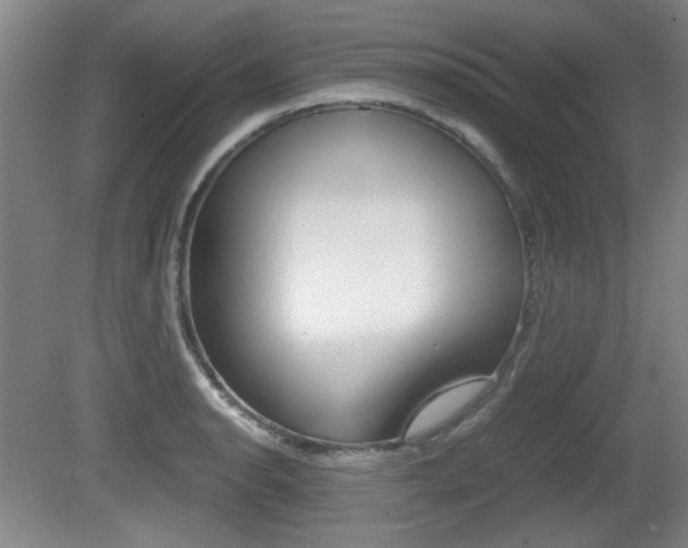 X0000080701134200612150830