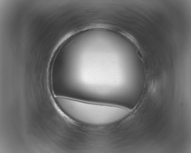 X0000080701135200612150830