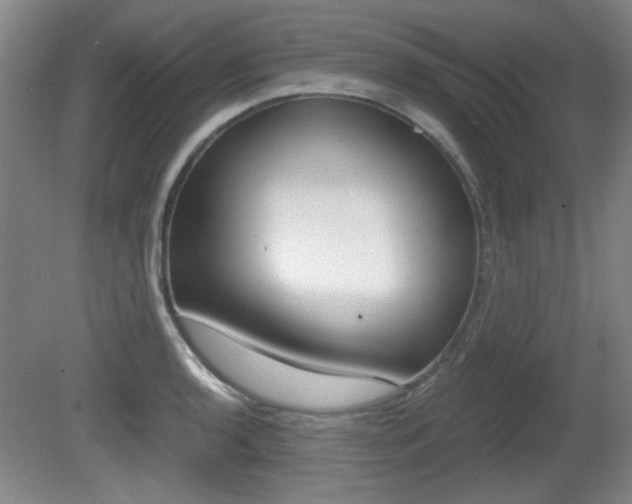 X0000080701136200612150830