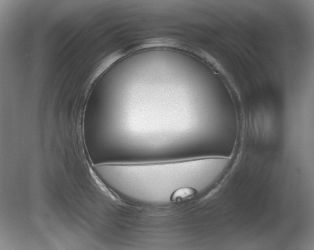 X0000080701137200612150830