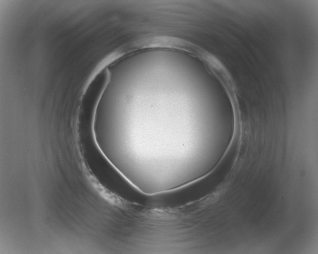 X0000080701138200612150830