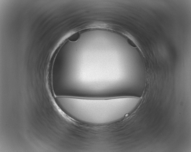 X0000080701139200612150830
