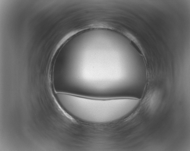 X0000080701141200612150830