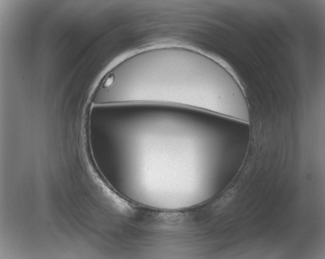 X0000080701142200612150830