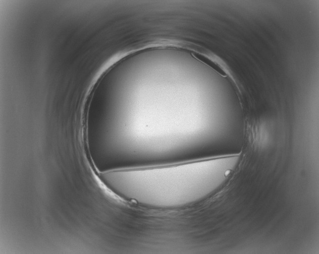 X0000080701143200612150830
