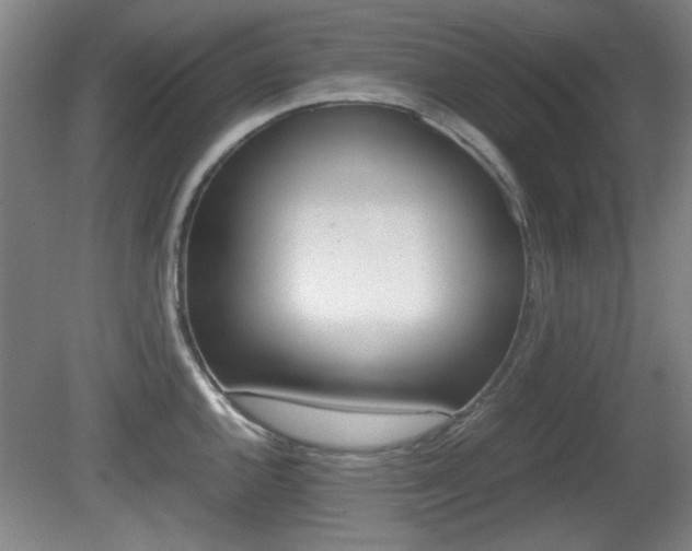 X0000080701144200612150830