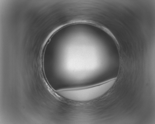 X0000080701148200612150830