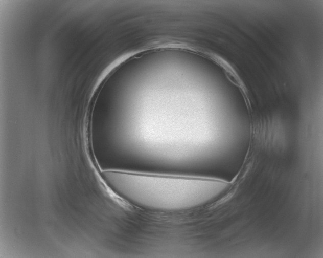 X0000080701149200612150830