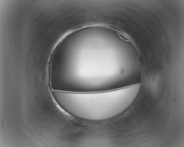 X0000080701151200612150830