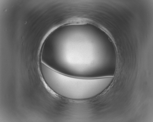 X0000080701152200612150830