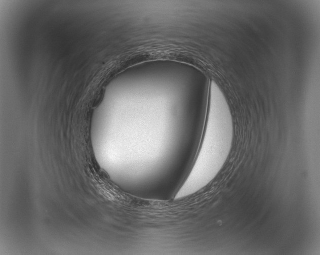 X0000080701153200612150829