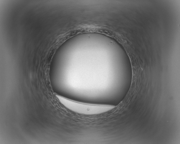 X0000080701157200612150829