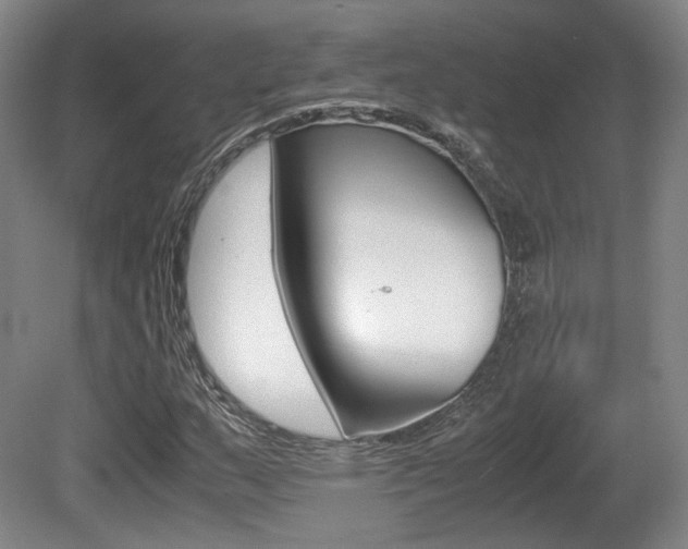 X0000080701159200612150829