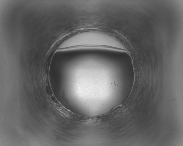 X0000080701160200612150829