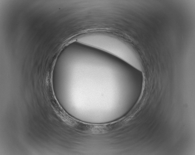 X0000080701161200612150829