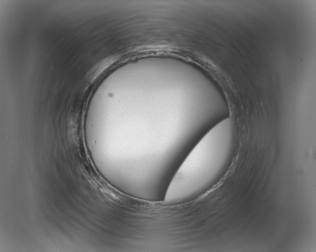 X0000080701162200612150829