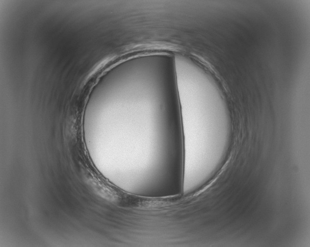 X0000080701163200612150829