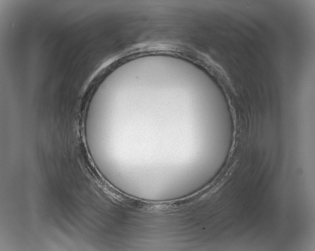 X0000080701166200612150829